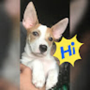 Meet your Posher, Cecilia